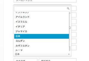 無神経に翻訳された選択ボックス