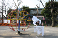 公園でエクストリームアイロン