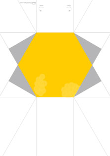 CD_case_Hexagon_A4_Yellow.jpg
