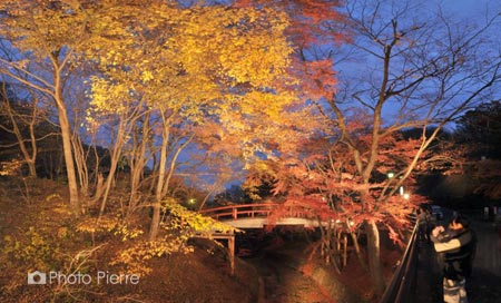 河鹿橋