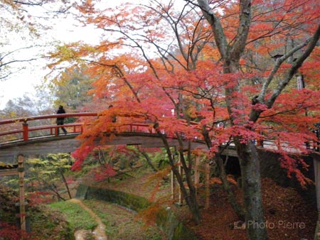 河鹿橋