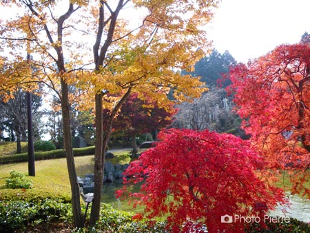 日本庭園前