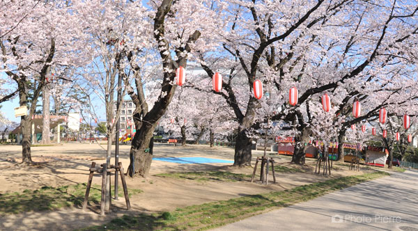 高崎公園の美しい風景