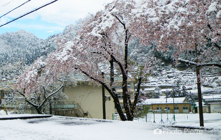 群馬の雪