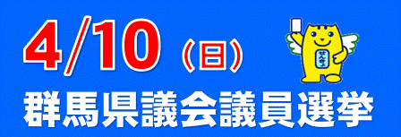 2011年4月10日群馬県議会議員選挙