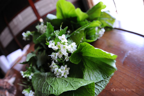 山葵の花束