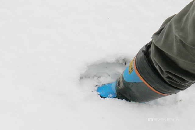 積雪の深さ