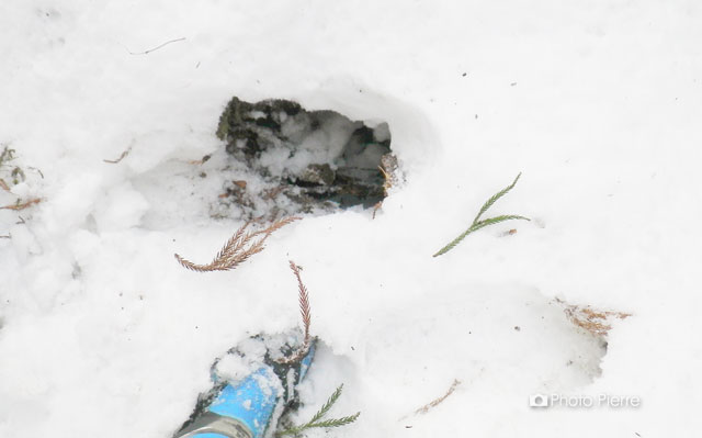 積雪の深さ（落とし穴）