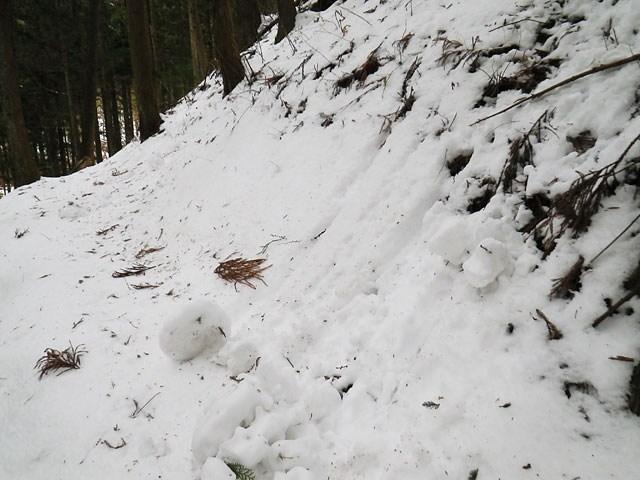 自然に丸まる雪の塊