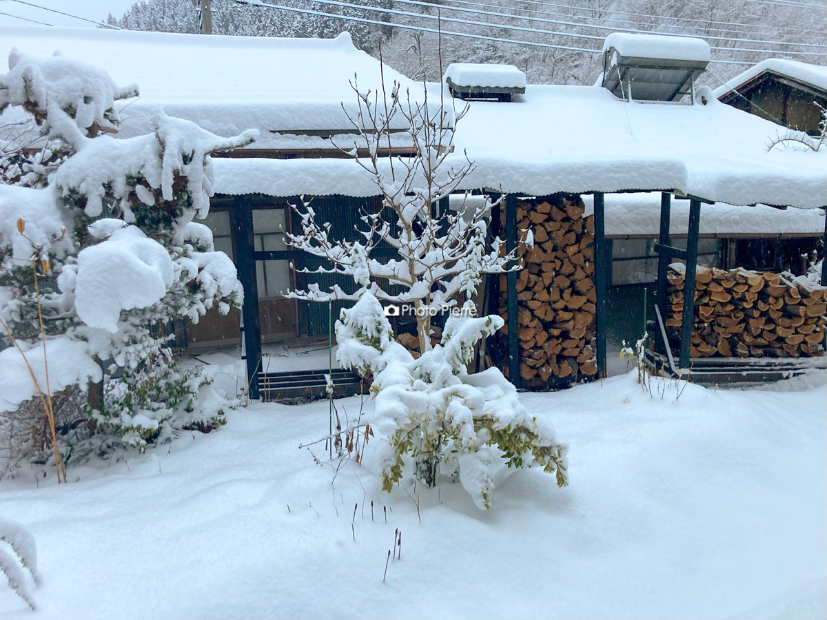 雪の朝