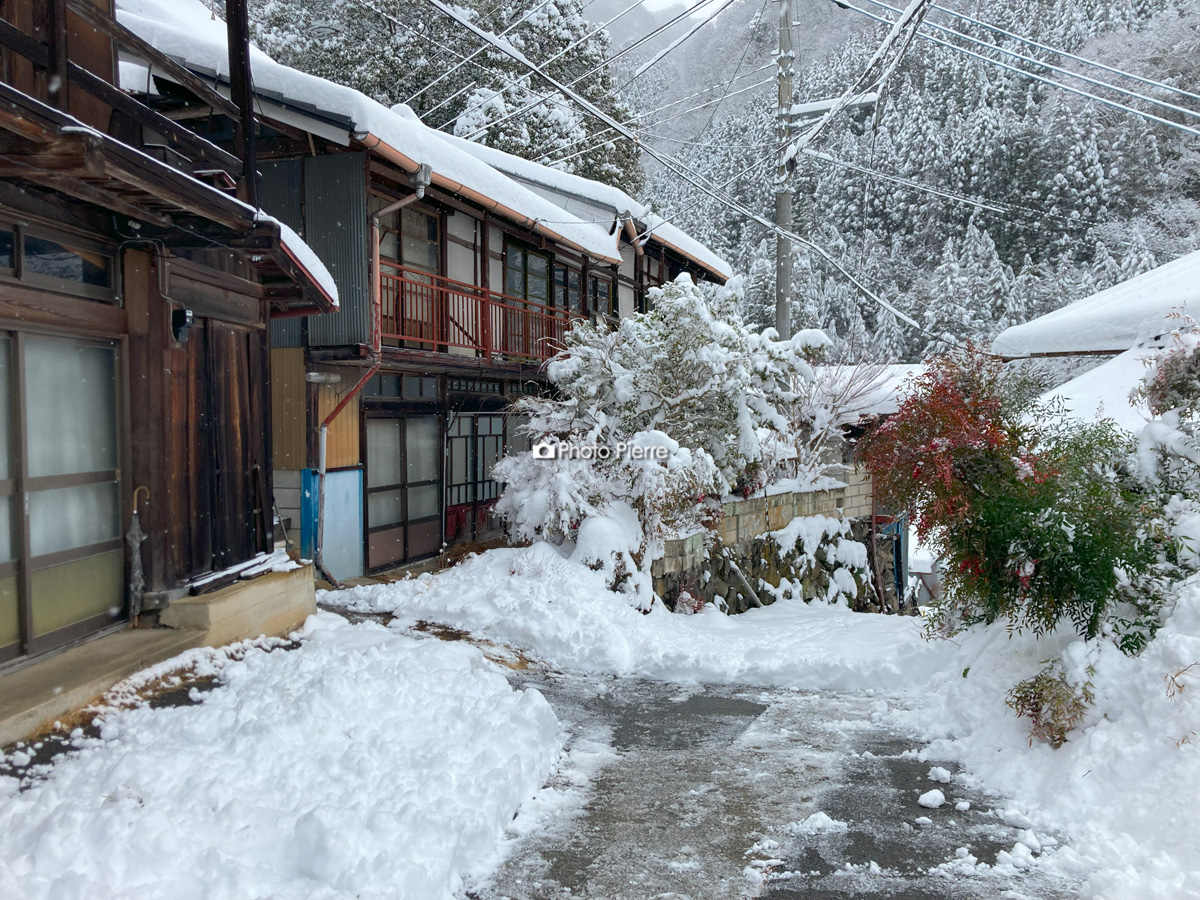 雪が重くてやる気出ない