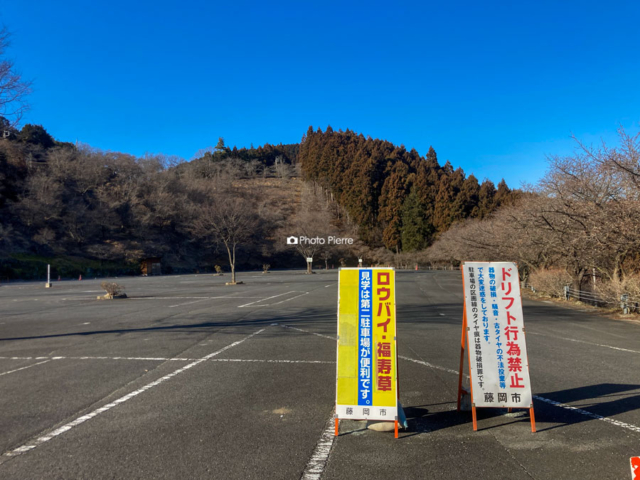 桜山公園の蝋梅は第2🅿が便利