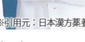 引用元表示問題