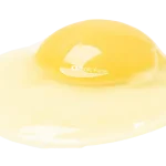 黒川たまご