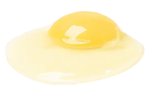 黒川たまご