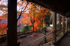 黒瀧山不動寺 紅葉（2013.11）