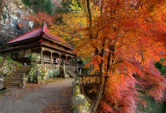 黒瀧山不動寺 紅葉（2013.11）